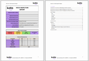 Page Mock Inspection Report